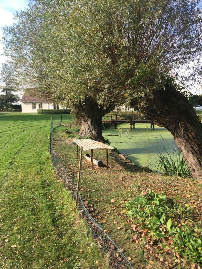 NoordpeeneAu Coeur De La Flandre公寓 外观 照片