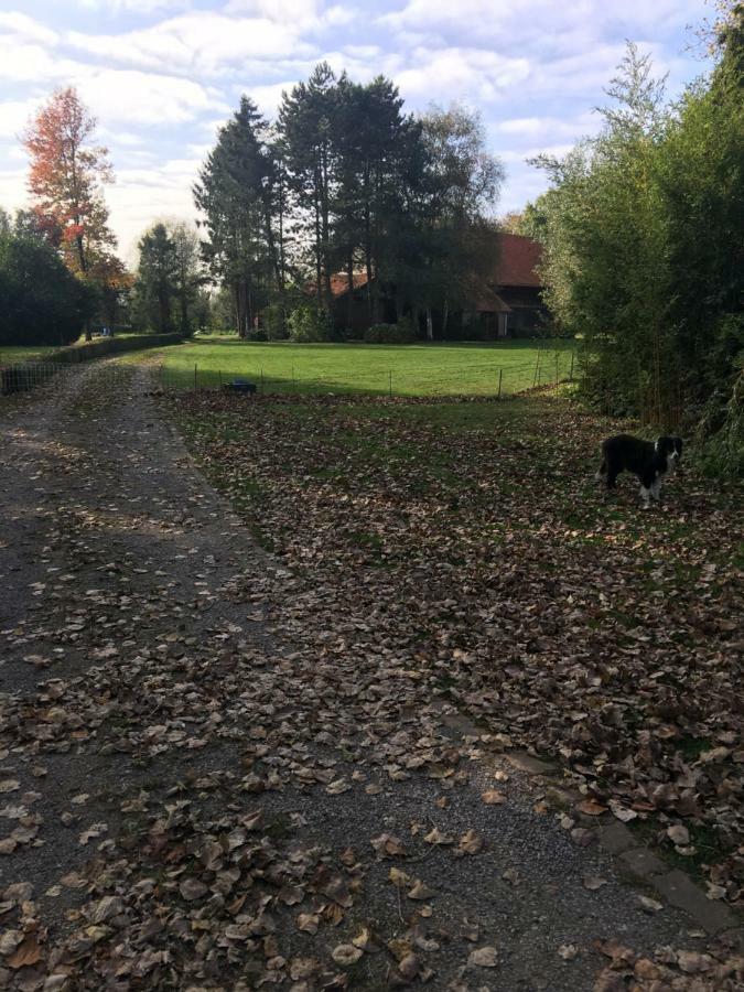 NoordpeeneAu Coeur De La Flandre公寓 外观 照片