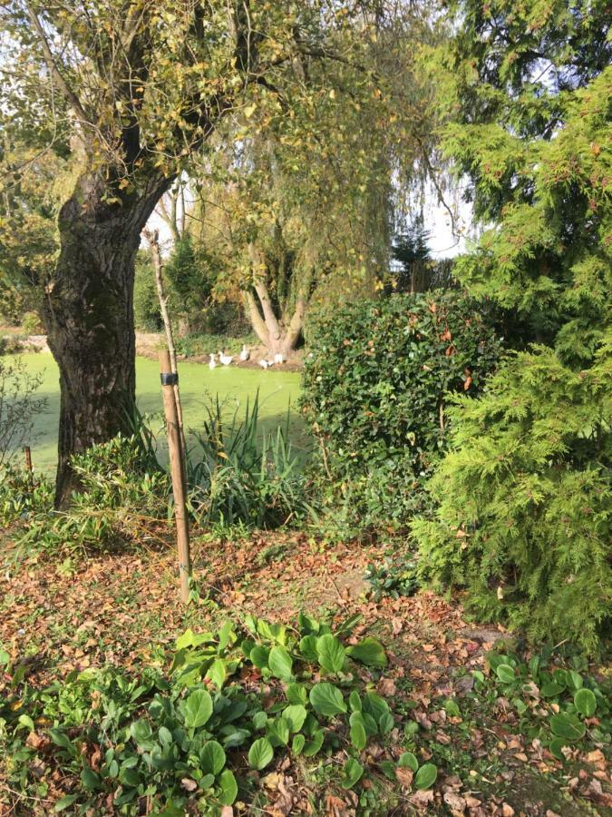 NoordpeeneAu Coeur De La Flandre公寓 外观 照片